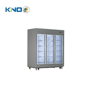 یخچال فروشگاهی ویترینی مدل RV31